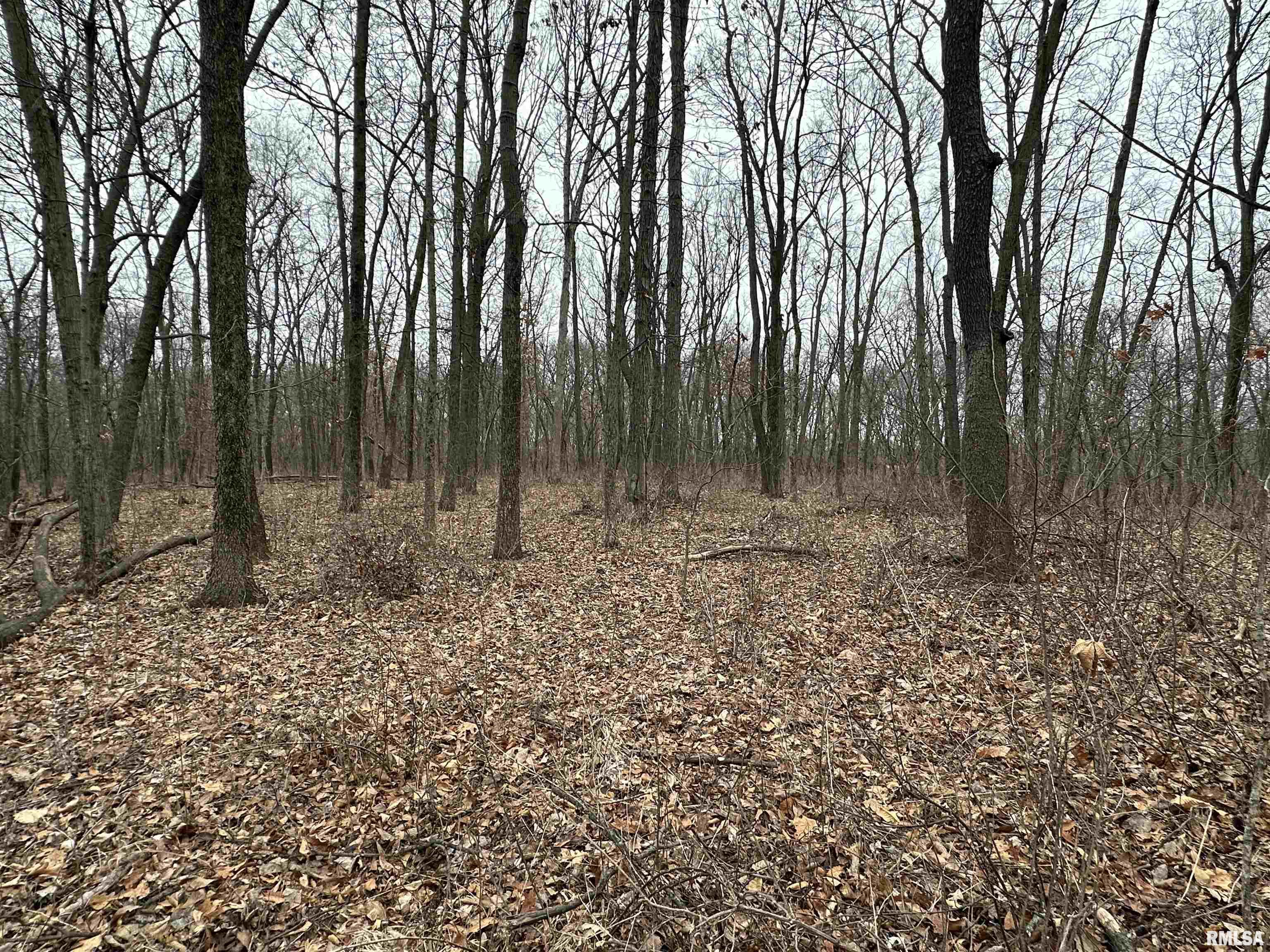 0 North 7 Hills Road Avon, IL 61415 - Photo 6 of 55