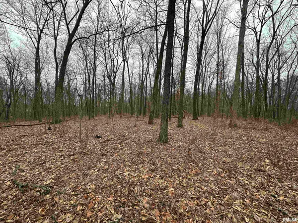 $775,000 | 0 North 7 Hills Road, Avon, IL 61415