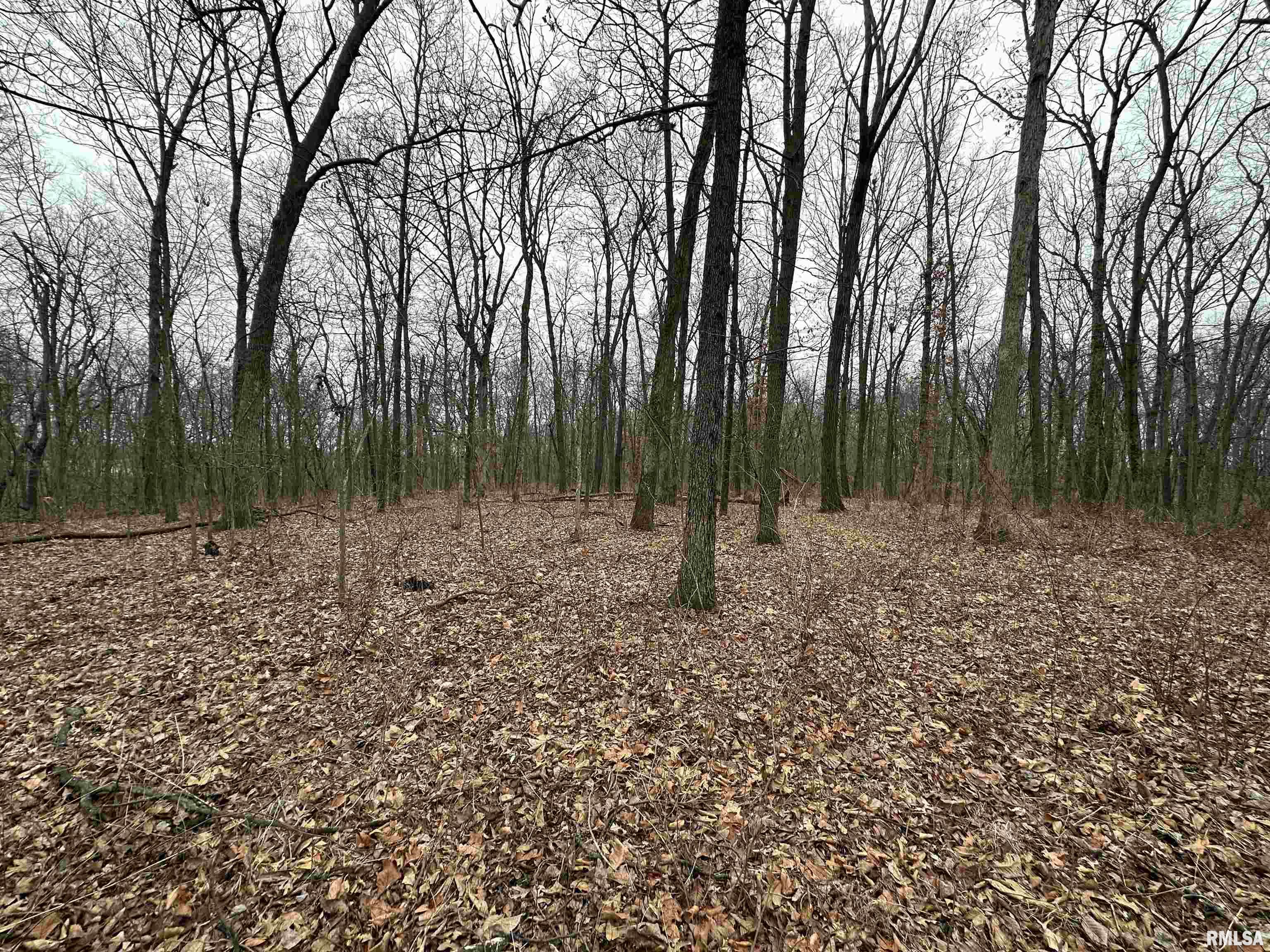 0 North 7 Hills Road Avon, IL 61415 - Photo 7 of 55