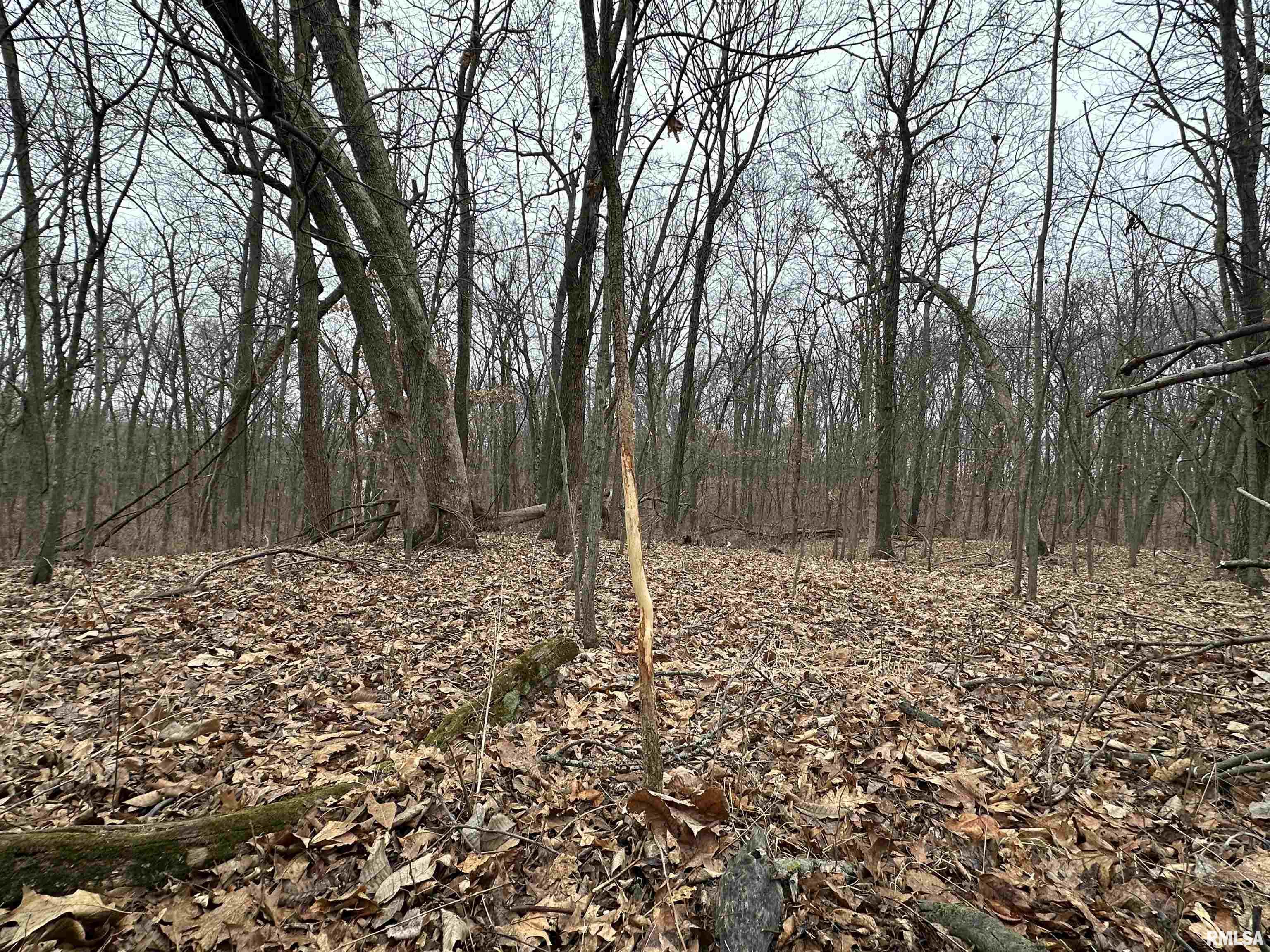 0 North 7 Hills Road Avon, IL 61415 - Photo 8 of 55