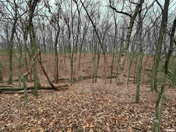 $775,000 | 0 North 7 Hills Road, Avon, IL 61415