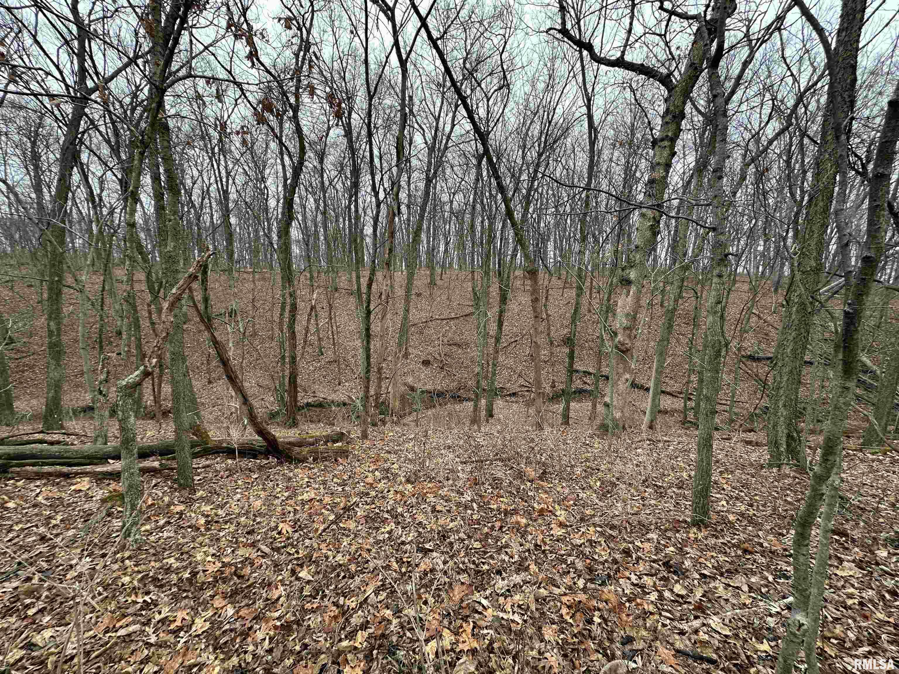 0 North 7 Hills Road Avon, IL 61415 - Photo 9 of 55