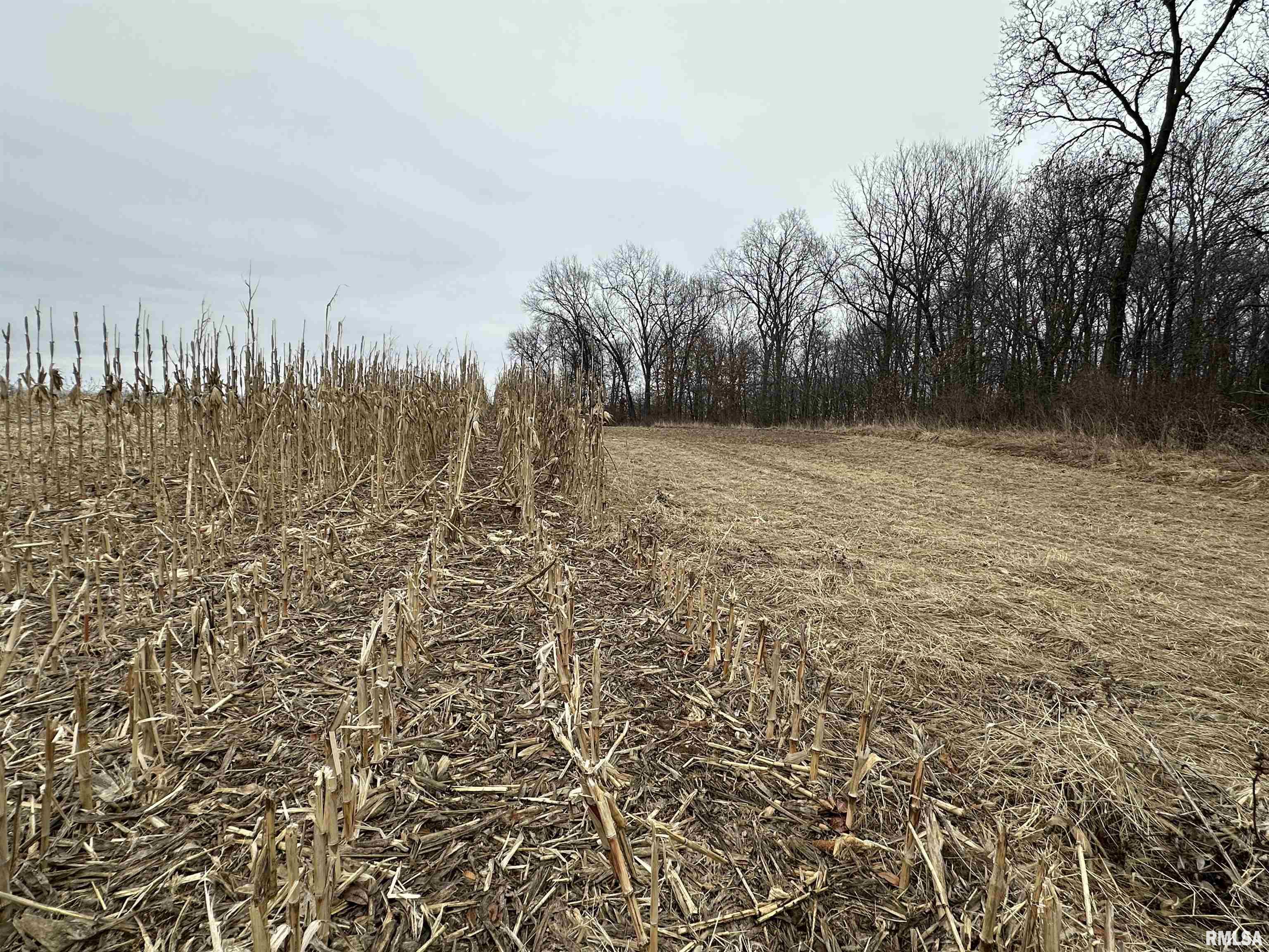 0 North 7 Hills Road Avon, IL 61415 - Photo 10 of 55