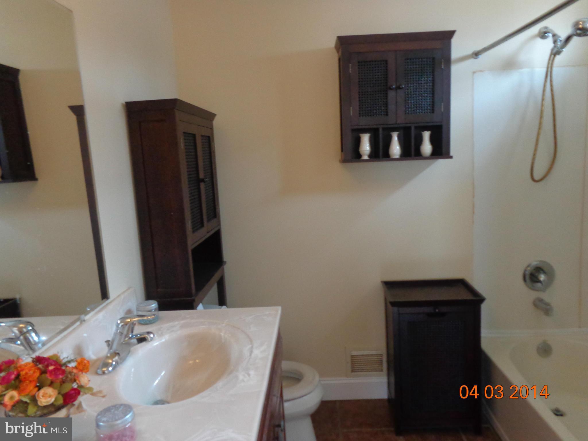 4501 Roop Road Mount Airy, MD 21771 - Photo 12 of 22 Bath (Master)