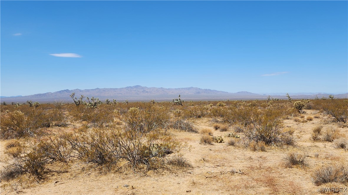 2580 South Tom Mix Road Yucca, AZ 86438 - Photo 13 of 23 View