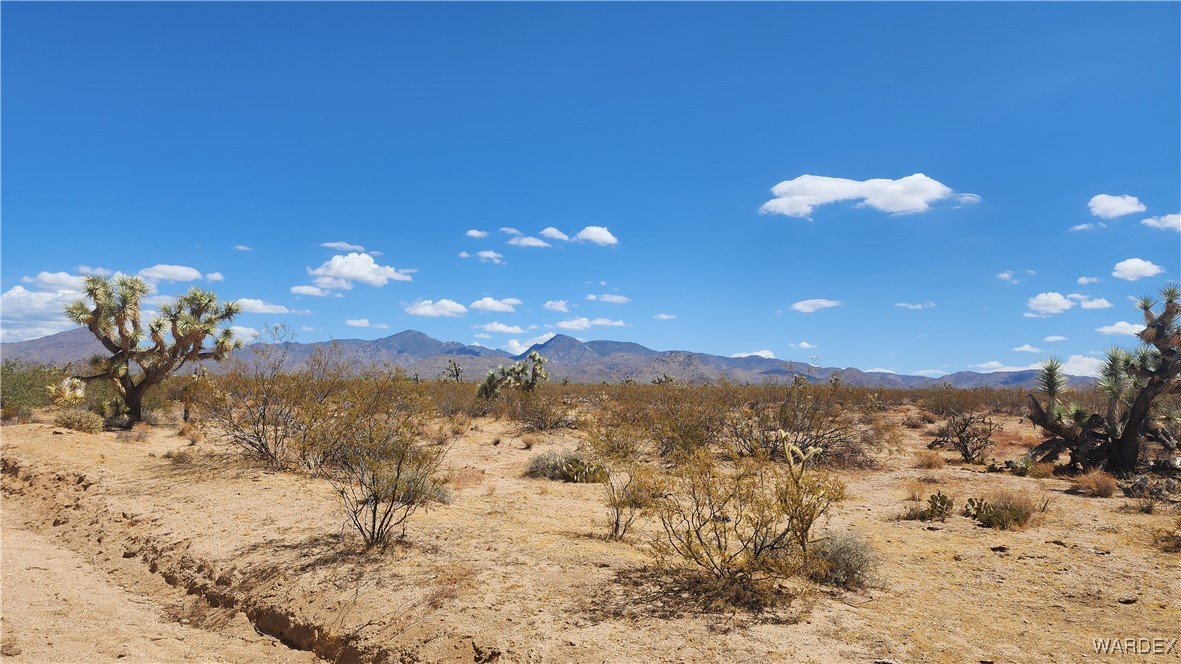 2580 South Tom Mix Road Yucca, AZ 86438 - Photo 9 of 23 View