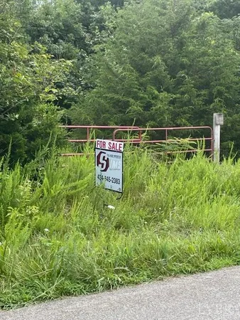 a view of a field with an trees