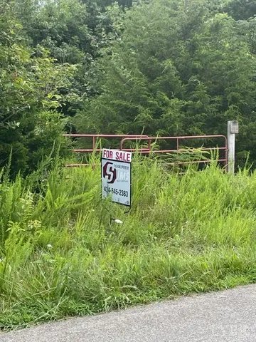 a view of a field with an trees