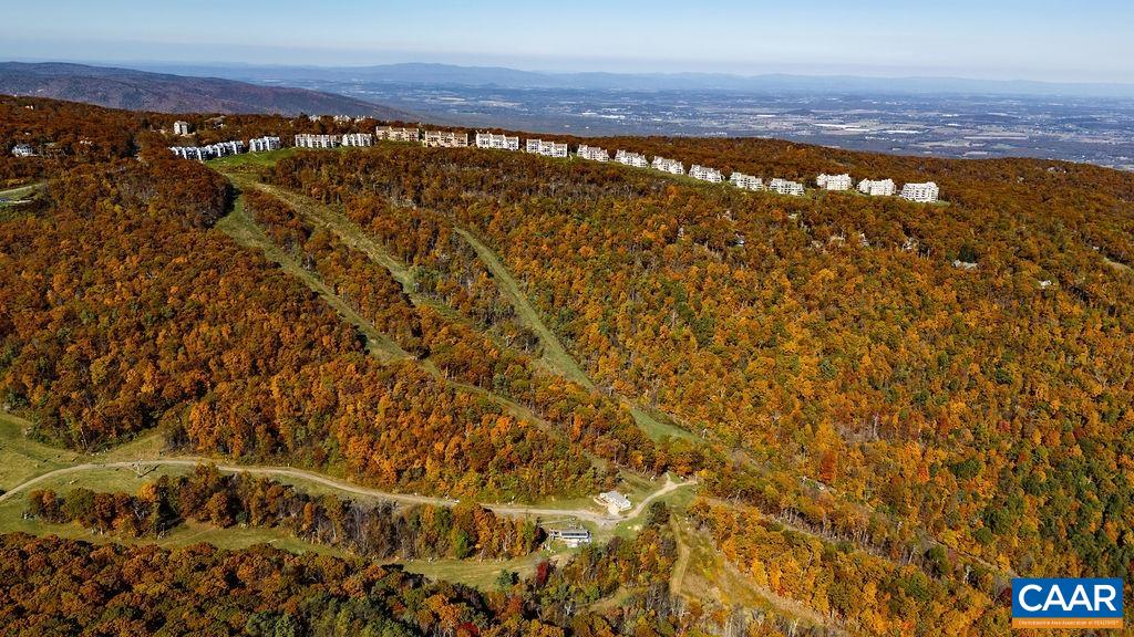 208 Timbers Roseland, VA 22967 - Photo 17 of 22 a view of an ocean from a yard