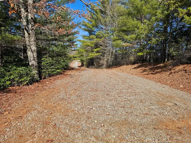 a backyard of a house with large trees