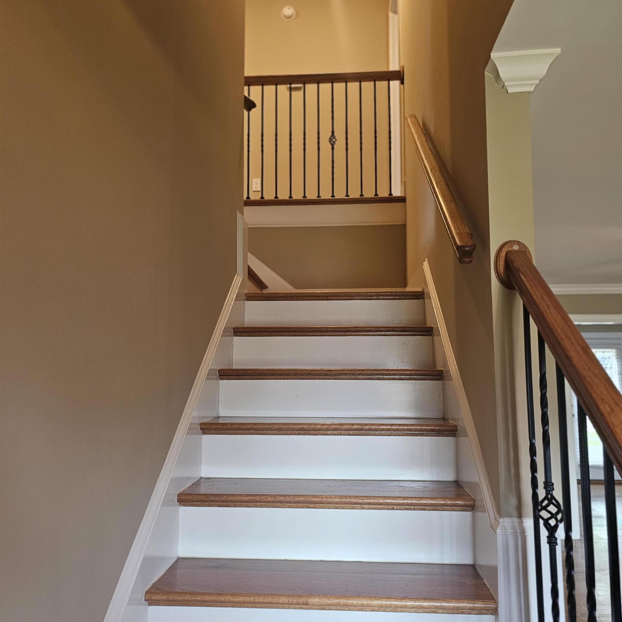 244 Pebble Ridge Drive Southeast Cleveland, TN 37323 - Photo 21 of 49 Gallery Image 21