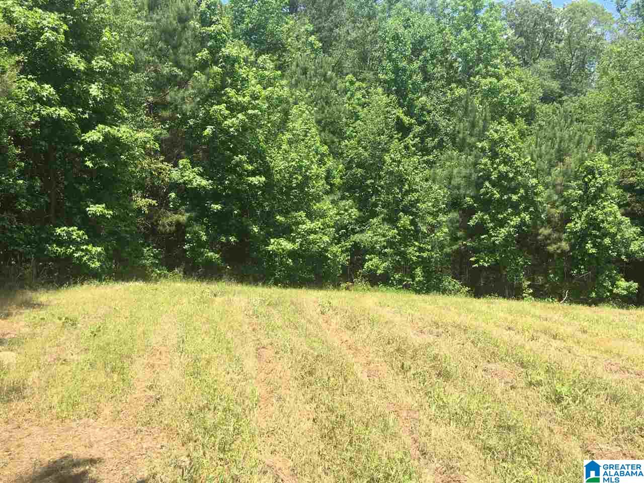5001 Greathouse Road, Unit 1 Dora, AL 35062 - Photo 6 of 6