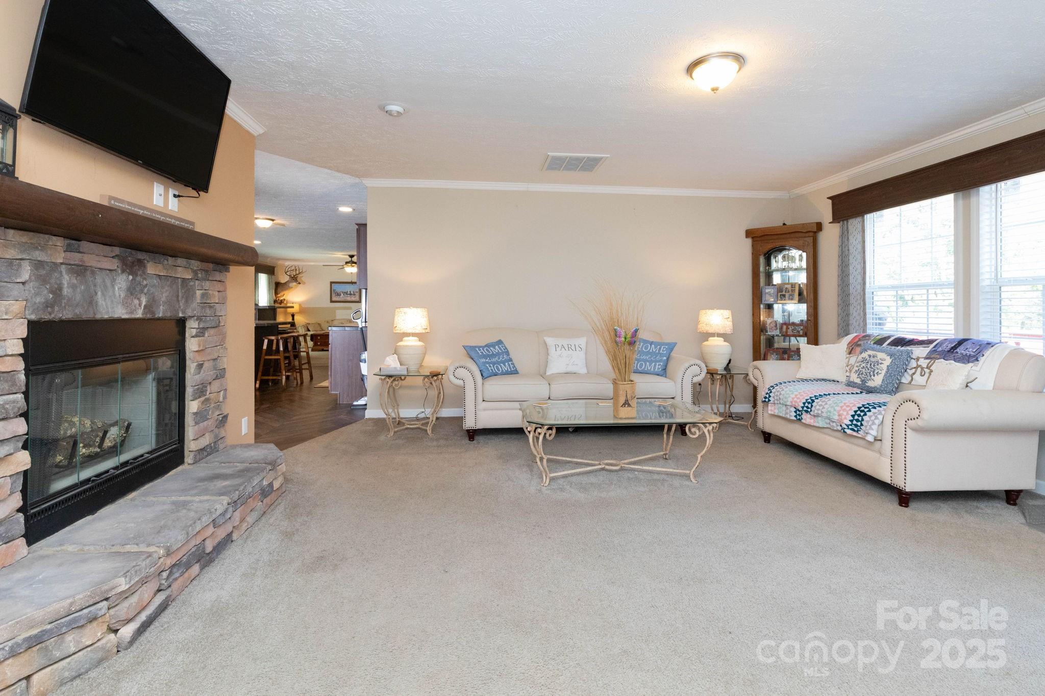324 Lytle Cove Road Swannanoa, NC 28778 - Photo 8 of 27 a living room with furniture a fireplace and a flat screen tv