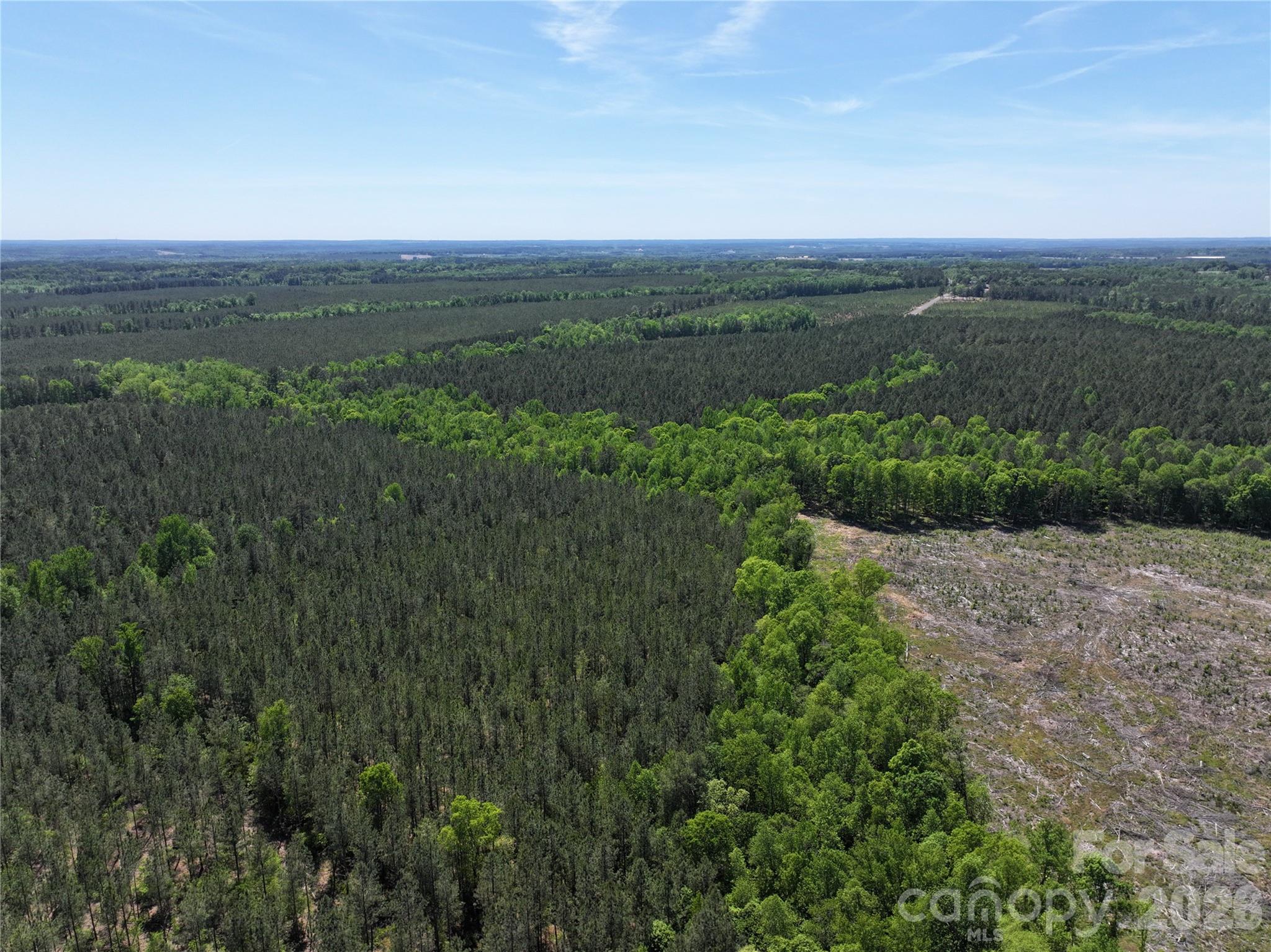 Tbd Hightower Road Morven, NC 28119 - Photo 3 of 3