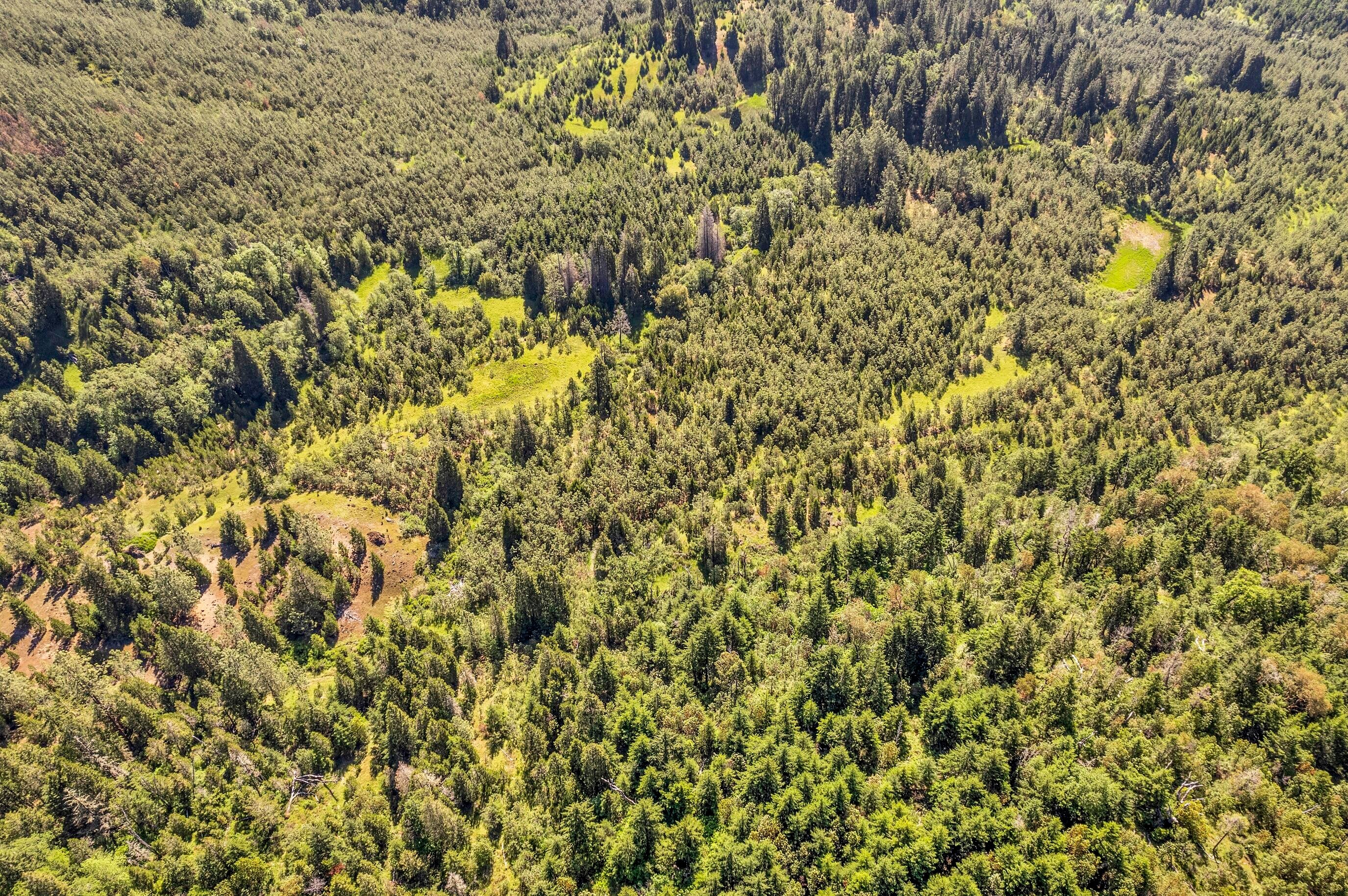 0 Riddle Bypass Road Riddle, OR 97469 - Photo 18 of 36 DJI_0497