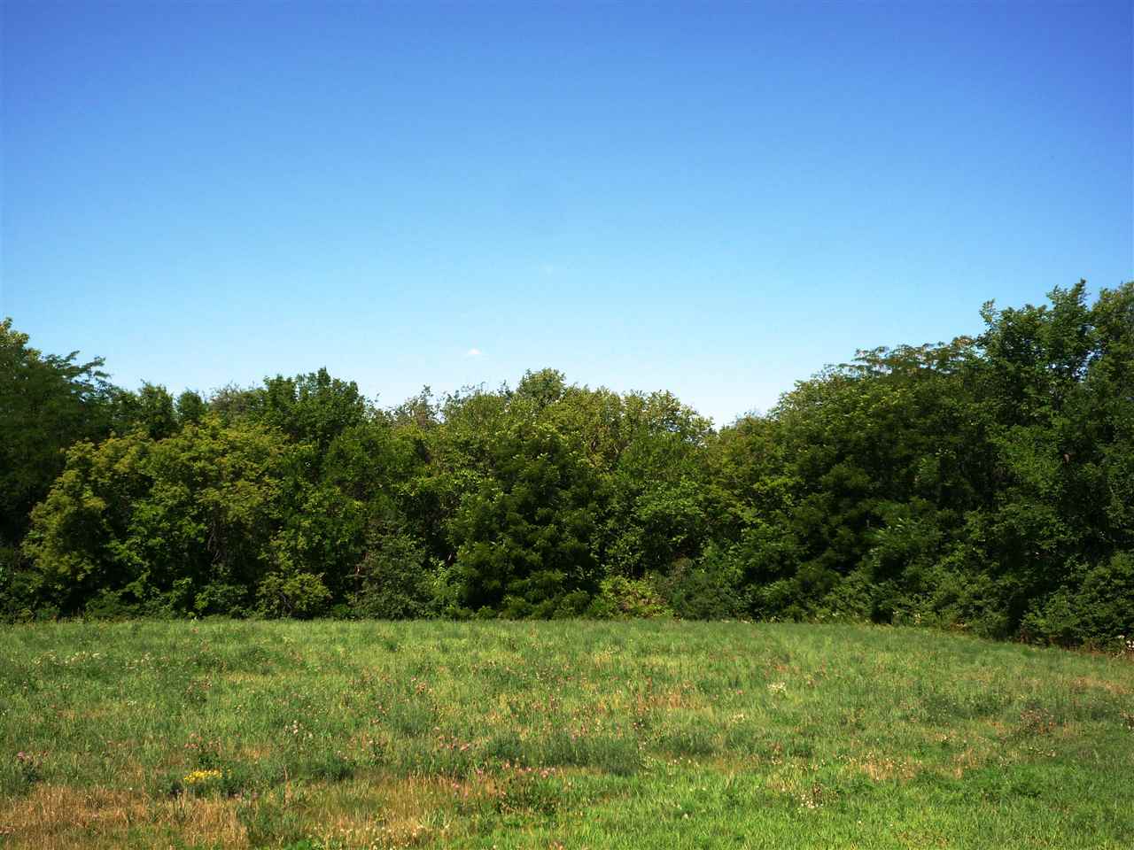 Lot 41 Stone Ridge Estates Riverside, IA 52327 - Photo 1 of 5 Gallery Image 1