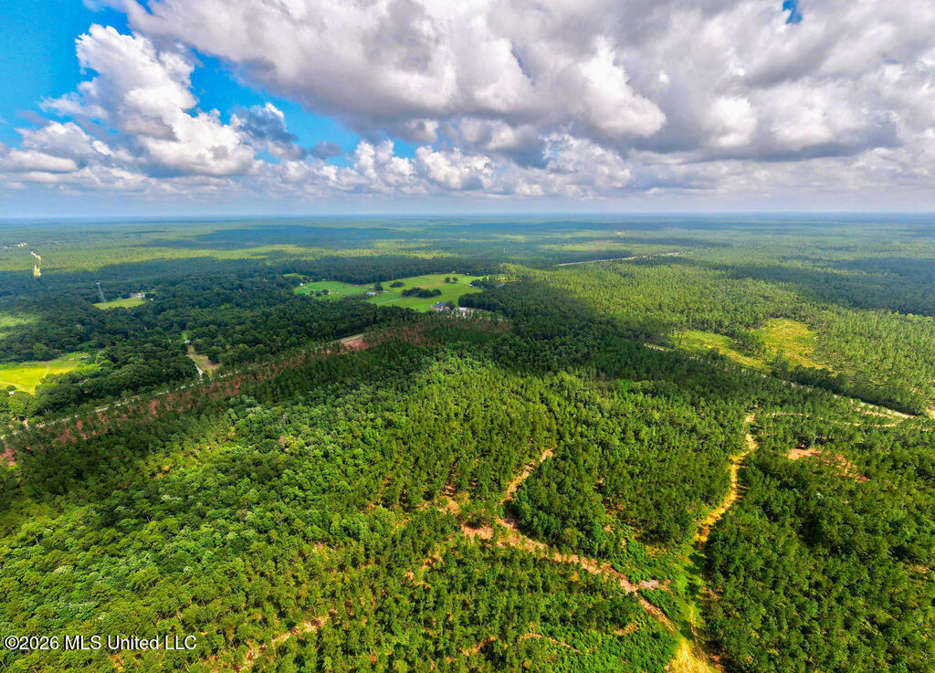 Nhn Lot 2 Nhn Road Saucier, MS 39574 - Photo 14 of 87 HiddenCreekEstates-12