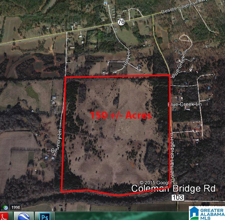 150 Coleman Bridge Road, Unit 150 Childersburg, AL 35044 - Photo 2 of 3