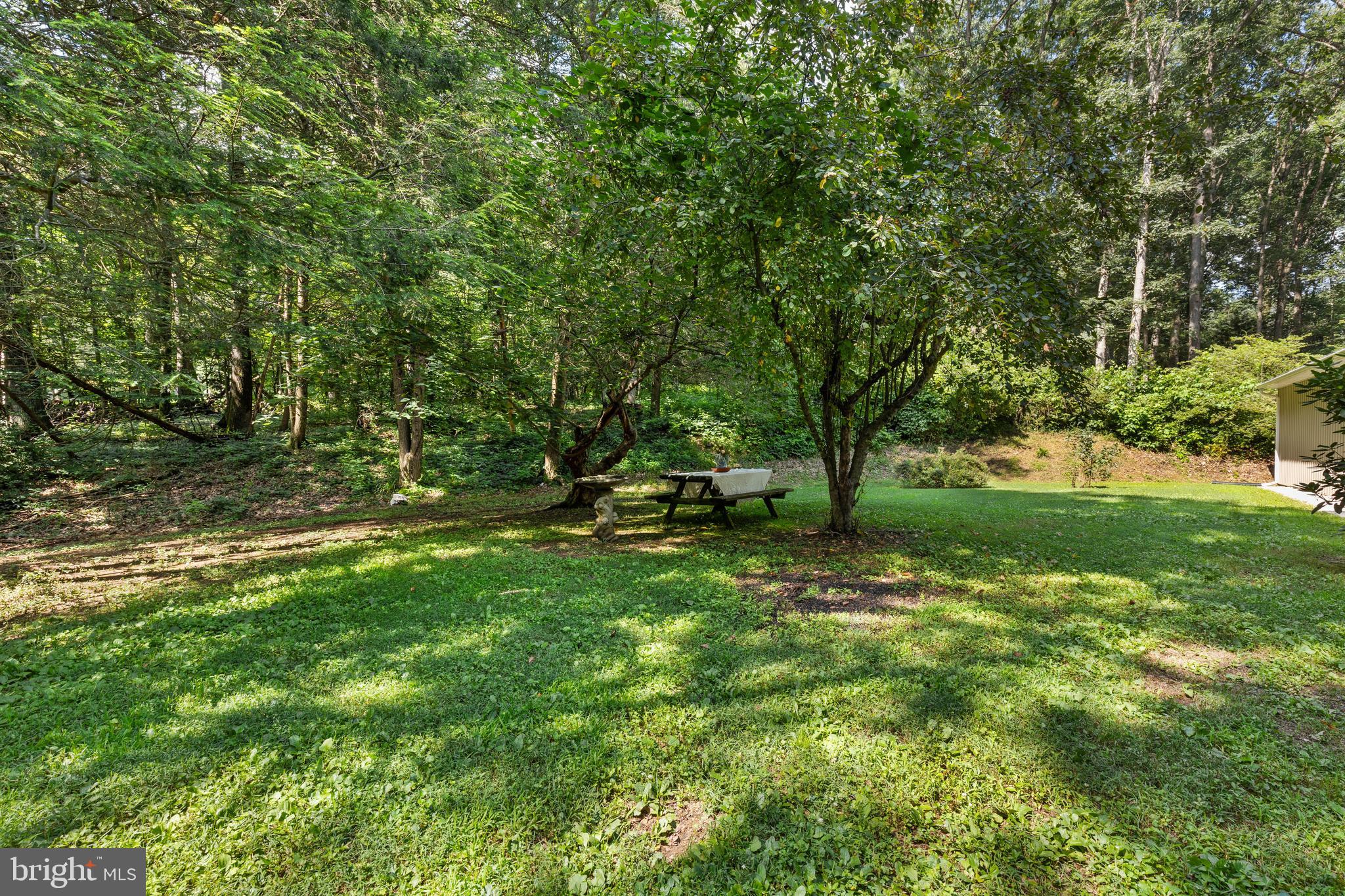 226 Acorn Lane Lititz, PA 17543 - Photo 38 of 52 Enjoy Birdwatching w/ this View from Living Room