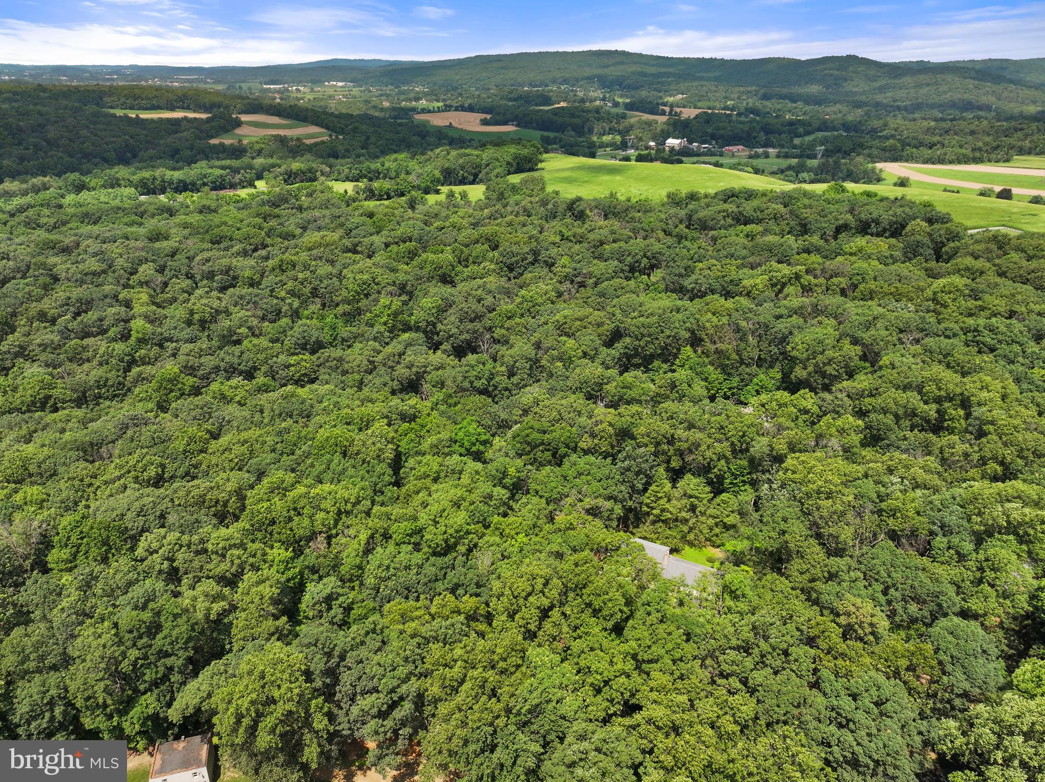 226 Acorn Lane Lititz, PA 17543 - Photo 49 of 52 Privacy & Seclusion but Minutes from Town!