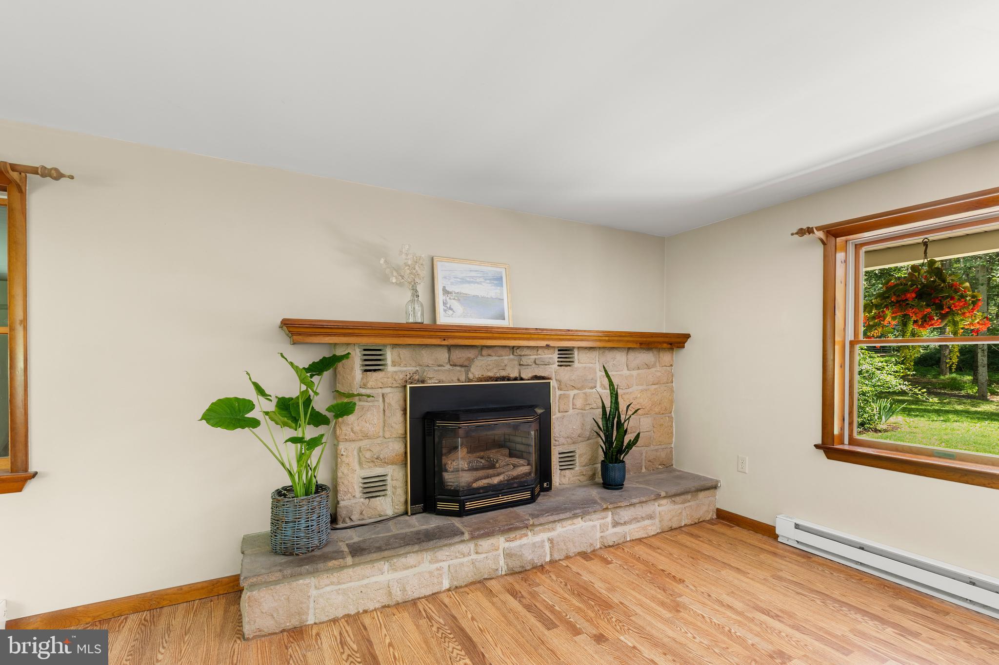 226 Acorn Lane Lititz, PA 17543 - Photo 9 of 52 Gas-burning Fireplace