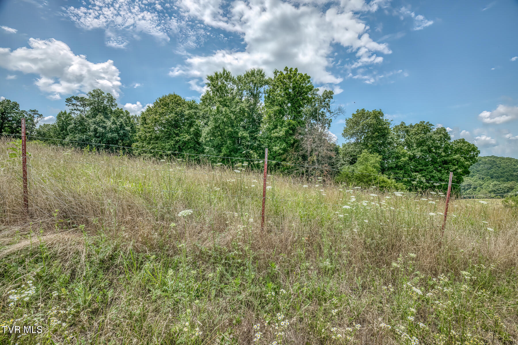 2083 Bundren Mountain Road Tazewell, TN 37879 - Photo 25 of 42 2083 Bundren Mountain Rd-26
