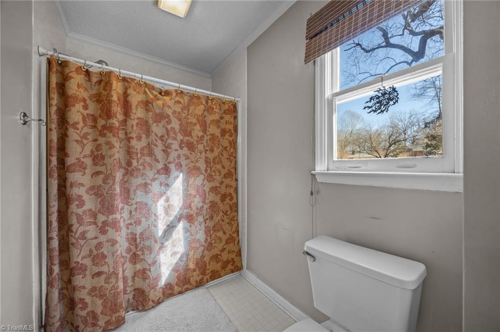 232 Holly Ridge Lane Mebane, NC 27302 - Photo 17 of 45 Primary Bath Shower area