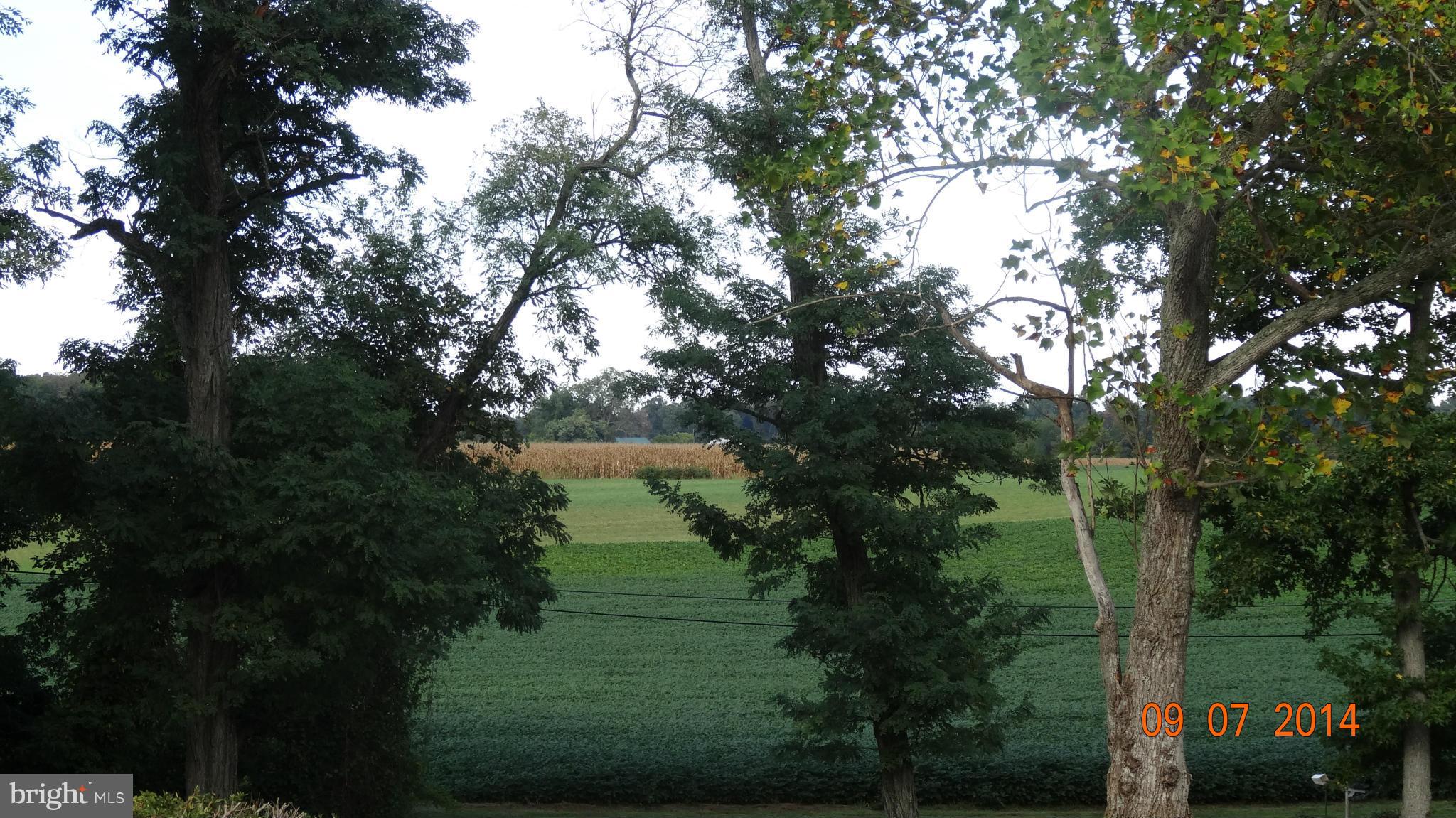 22620 Cedar Lane Road Leonardtown, MD 20650 - Photo 20 of 24 FROM FRONT YARD