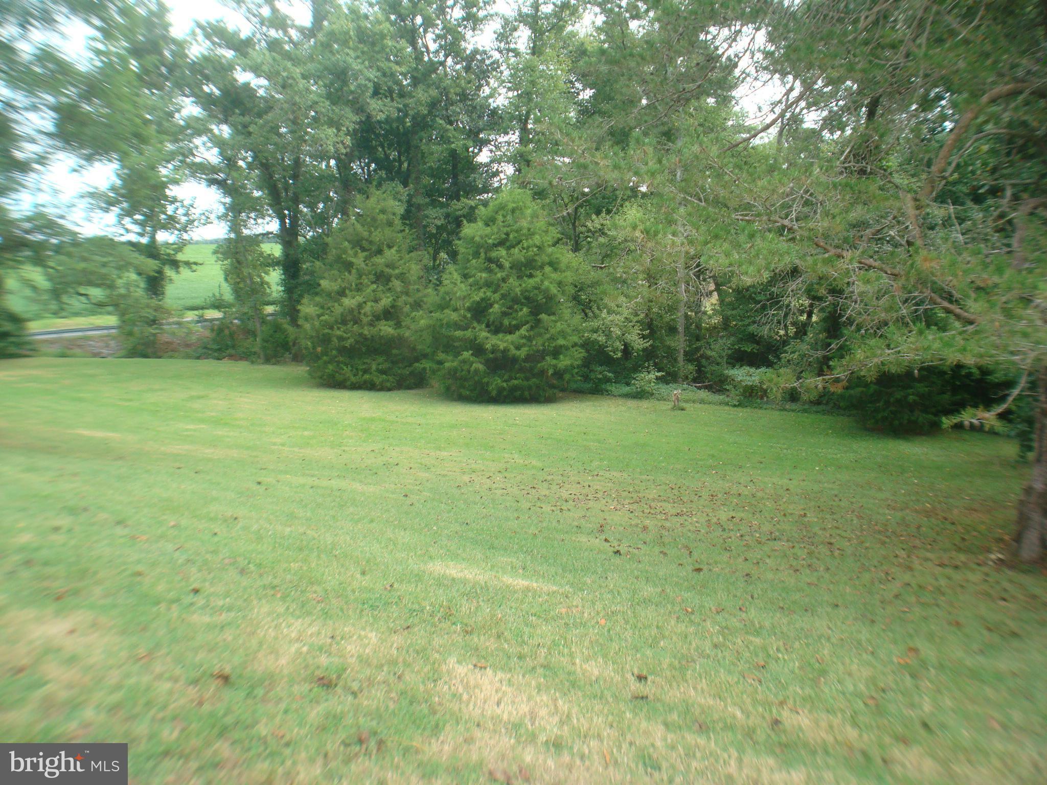 22620 Cedar Lane Road Leonardtown, MD 20650 - Photo 21 of 24 SIDE YARD