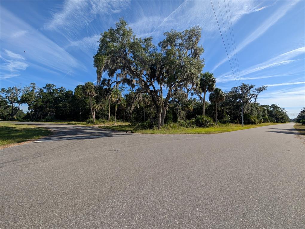 11009 North Withla Bluff Point Inglis, FL 34449 - Photo 12 of 26 a view of a swimming pool and outdoor space