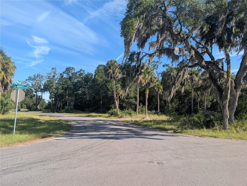 11009 North Withla Bluff Point Inglis, FL 34449 - Photo 13 of 26 a backyard of a house with lots of green space
