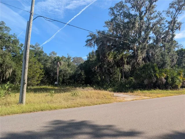 a view of a tree in a yard