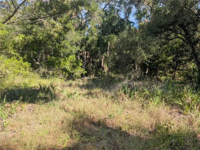 a view of backyard of green space