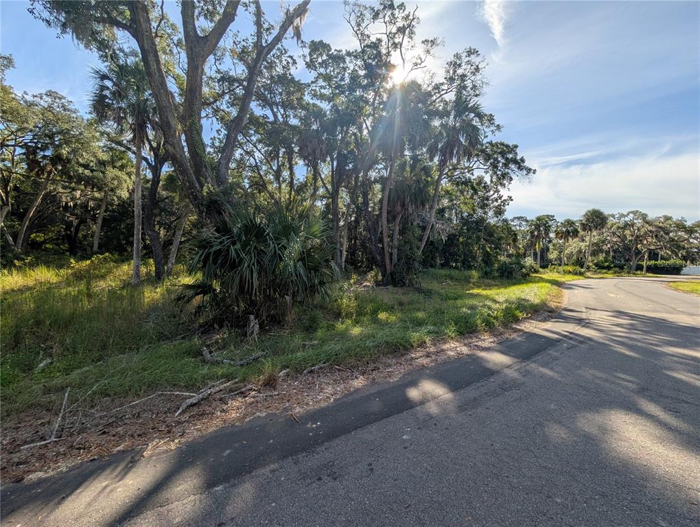 11009 North Withla Bluff Point Inglis, FL 34449 - Photo 18 of 26 a view of a yard with plants and large trees