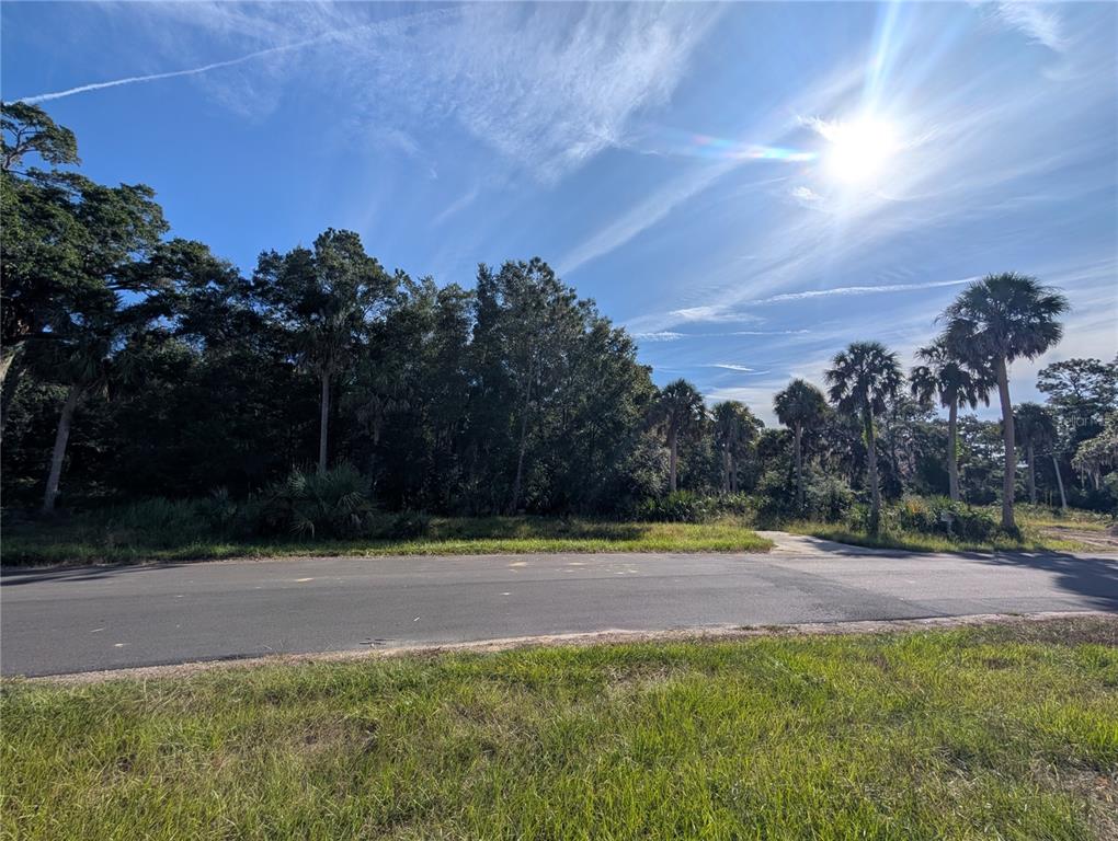11009 North Withla Bluff Point Inglis, FL 34449 - Photo 19 of 26 a view of outdoor space with city view
