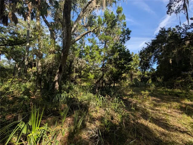 a view of a yard with a tree