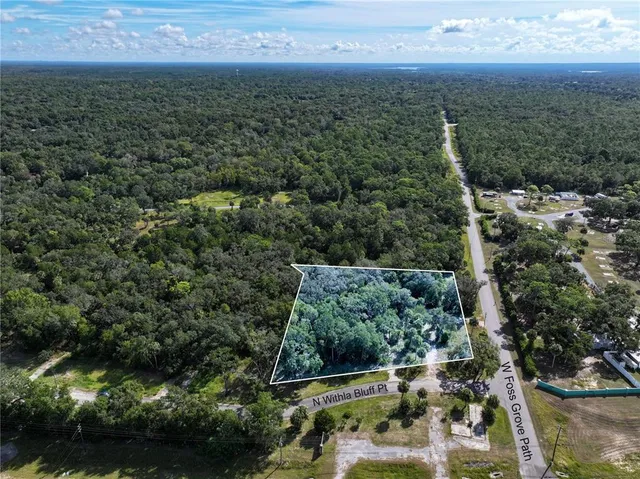 an aerial view of residential houses with outdoor space and trees