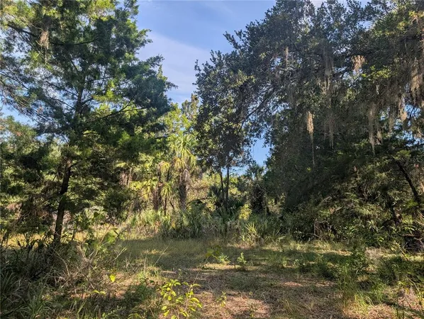 a view of lake with green space
