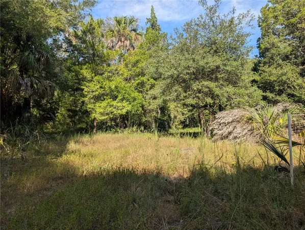 a view of a yard with a tree