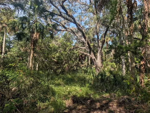 $72,500 | 11009 North Withla Bluff Point, Inglis, FL 34449