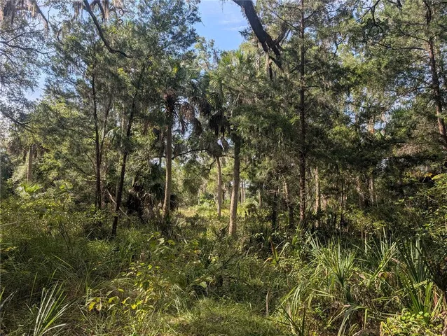 $72,500 | 11009 North Withla Bluff Point, Inglis, FL 34449