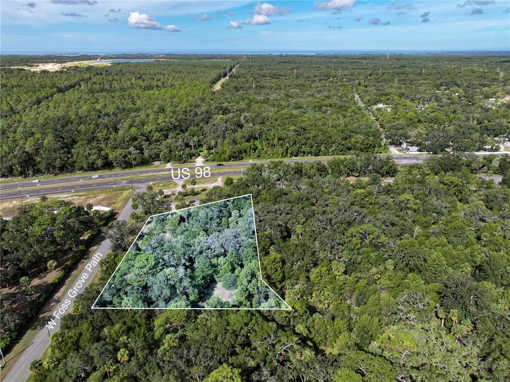 11009 North Withla Bluff Point Inglis, FL 34449 - Photo 5 of 26 an aerial view of residential houses with outdoor space and trees