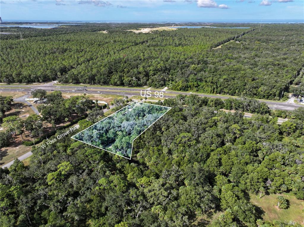 11009 North Withla Bluff Point Inglis, FL 34449 - Photo 9 of 26 an aerial view of residential houses with outdoor space and trees