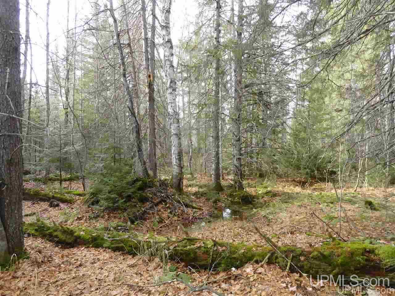 80-acres 80-acres Co Road Negaunee, MI 49866 - Photo 37 of 45