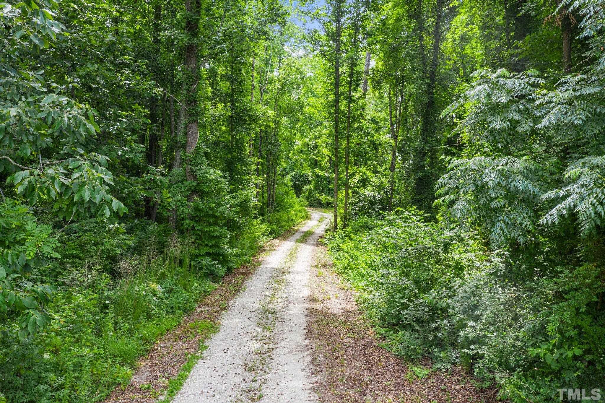 248 Mabry Road Angier, NC 27501 - Photo 11 of 36 Gallery Image 11