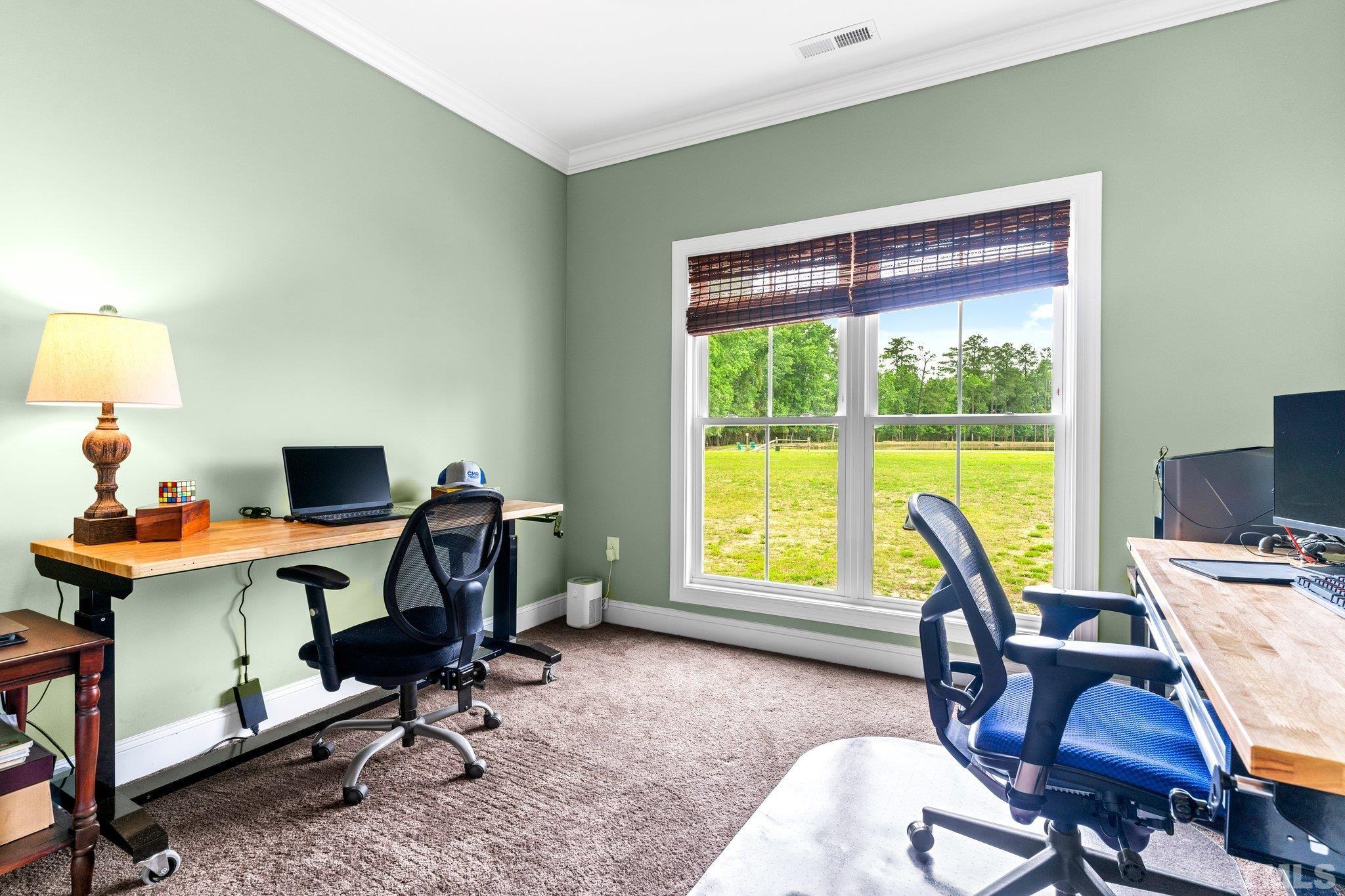 248 Mabry Road Angier, NC 27501 - Photo 28 of 36 Gallery Image 28