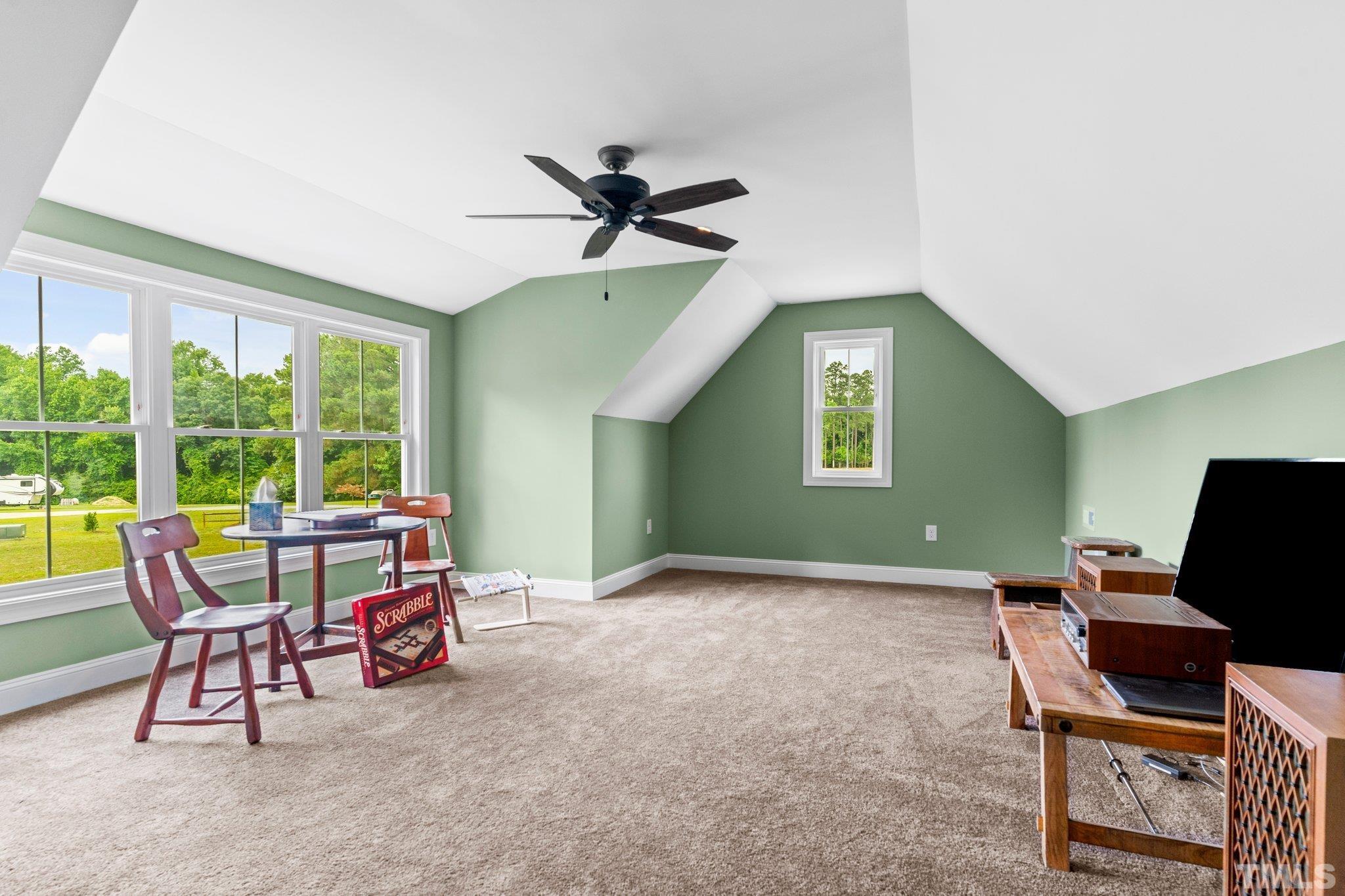 248 Mabry Road Angier, NC 27501 - Photo 32 of 36 Gallery Image 32