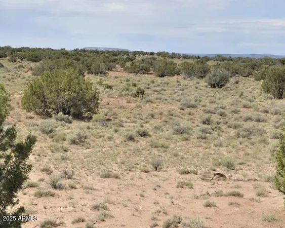 $12,499 | 38 County Road, Concho, AZ 85924