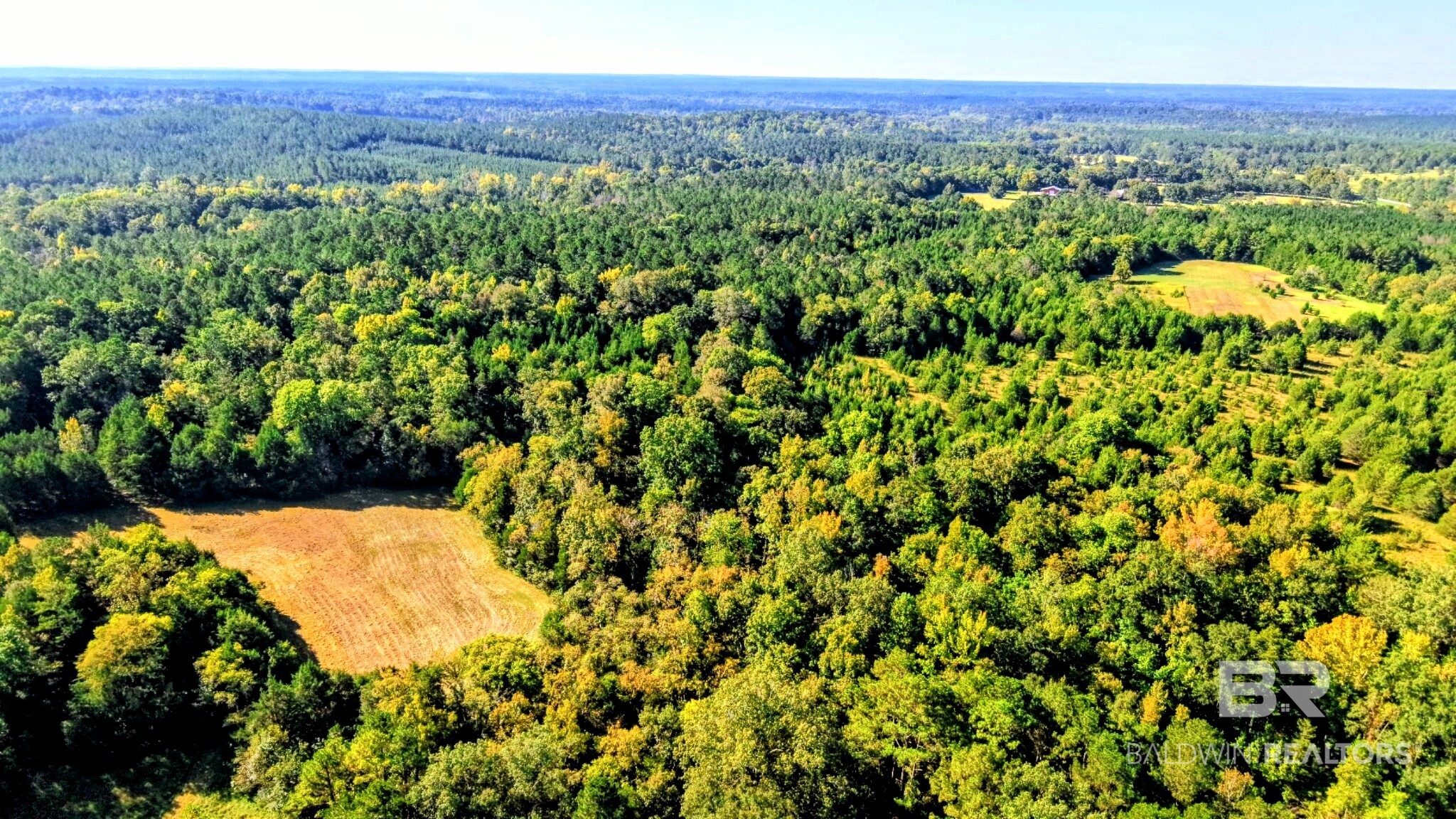 0 Highway 17 Millry, AL 36558 - Photo 48 of 73 Gallery Image 48