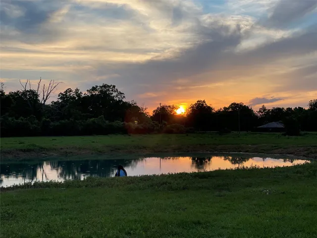 a view of a park with large trees